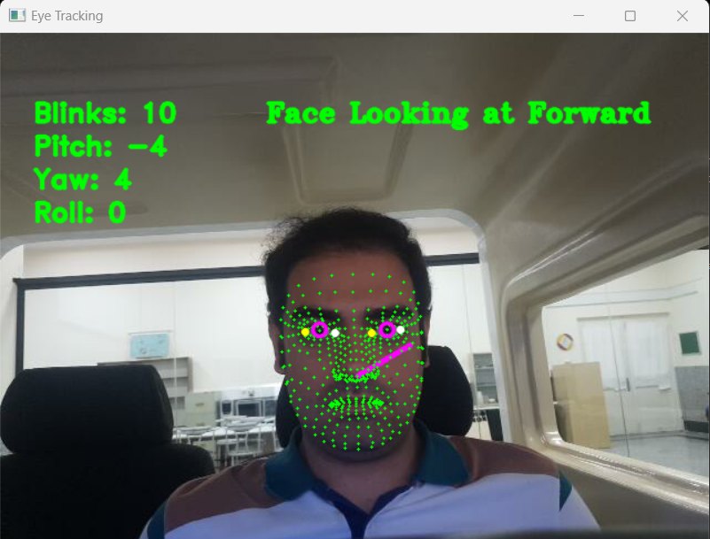 Real-time facial landmarks and head-pose tracking output